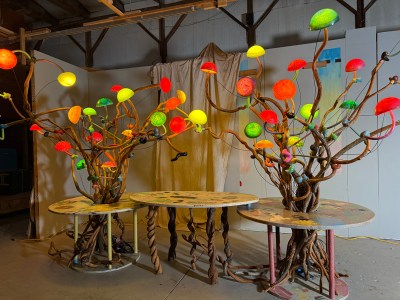 A bar made of three tables with two trees rising up.