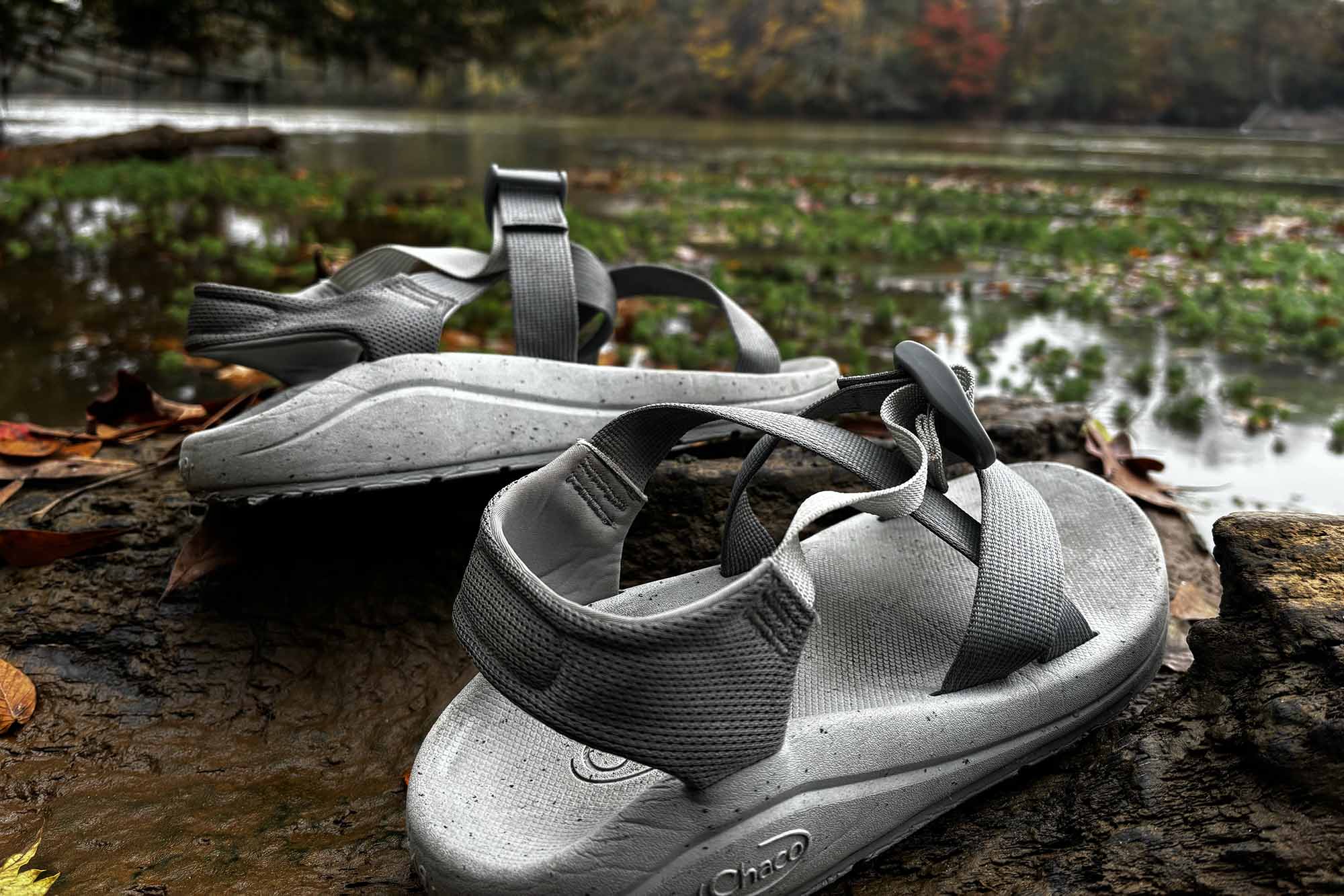 chaco cushz feature