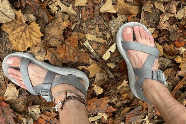 1739568784_Chaco-CushZ-Review-GearJunkie.jpg chaco cushz leaves
