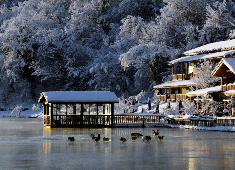 Nestled in a forest setting, the snow-covered wooden structures of Lopota Lake Resort overlook geese gliding across the frozen waters, creating a serene winter getaway.