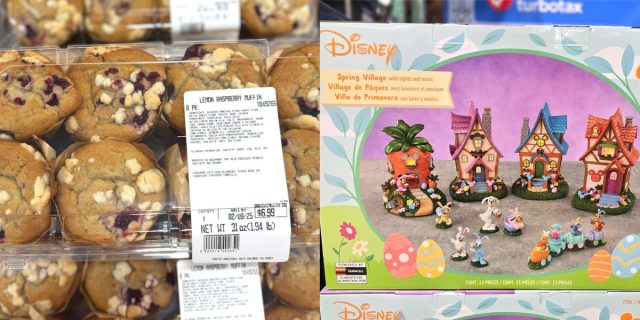 Best-Things-to-Get-at-Costco-Right-Now-From-Employee.jpeg Best Things to Get at Costco Right Now, From Employee — February 2025