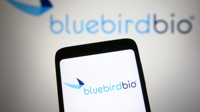 Bluebird-Bio-gene-therapy-sells-itself-to-Carlyle-and-SK.jpeg Bluebird Bio gene therapy sells itself to Carlyle and SK Capital