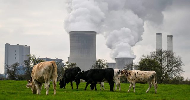 Brussels-plans-sweeping-cuts-to-EUs-green-rules-leaked-bill.jpg Brussels plans sweeping cuts to EU’s green rules, leaked bill reveals