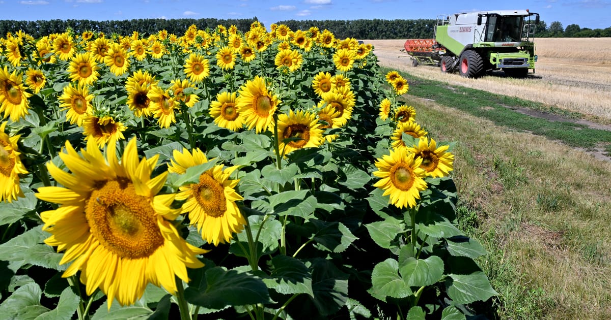 Czech-farmers-lead-fresh-EU-border-protests-over-Ukraine-LatAm.jpg Czech farmers lead fresh EU border protests over Ukraine, LatAm trade deals