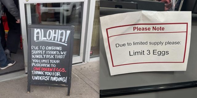 Grocery-Stores-Begin-Limiting-Egg-Purchases.jpeg Grocery Stores Begin Limiting Egg Purchases