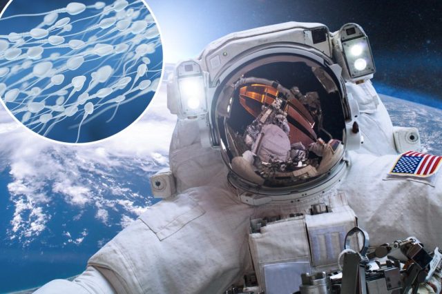 He's got spunk — here’s what happens when astronauts ejaculate He's got spunk — here’s what happens when astronauts ejaculate in space, per scientists