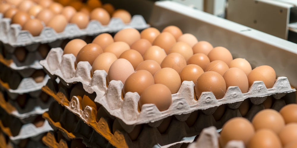 People-on-Ozempic-Love-Eggs-Now-Theyre-in-Trouble-As.jpeg People on Ozempic Love Eggs. Now They're in Trouble As Prices Soar.