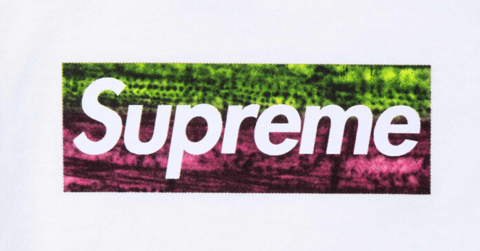 Supreme Los Angeles Fire Relief Box Logo Tee