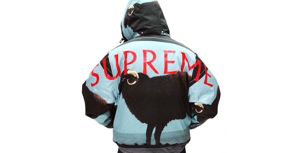 Supreme SS25 Collection Teaser Info