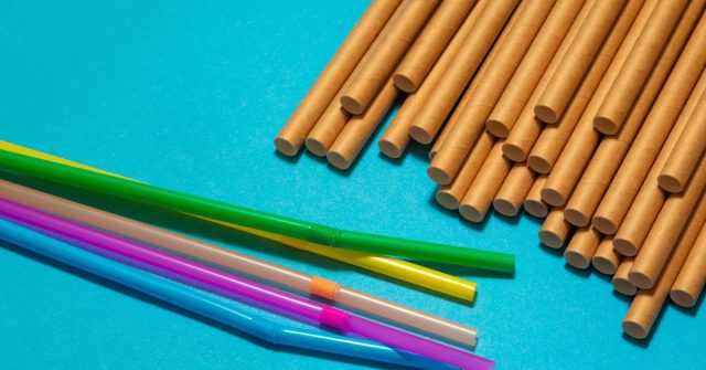 The-Plastic-vs-Paper-Straw-Debate-Explained.jpg The Plastic vs. Paper Straw Debate, Explained