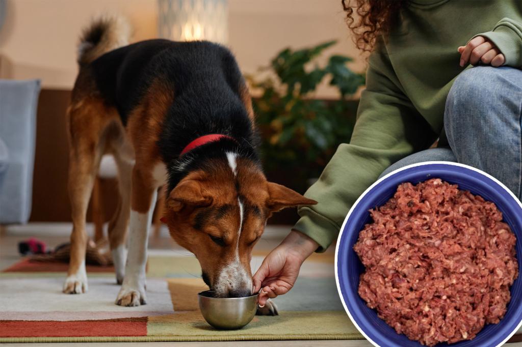 Top dog food brand recalls nearly 6,000 pounds of logs Top dog food brand recalls nearly 6,000 pounds of logs due to salmonella contamination