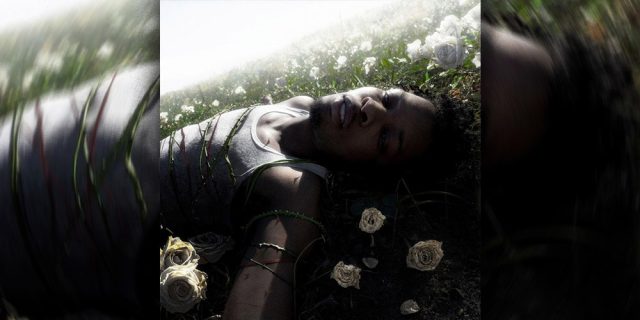 d4vd-‘WITHERED-Album-One-More-Dance-Single.jpg d4vd ‘WITHERED’ Album “One More Dance” Single