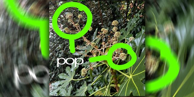 skaiwater-Returns-With-pop-Hypebeast.jpg skaiwater Returns With "pop" | Hypebeast