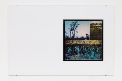 A photograph of a swamp on a white sheet of paper.