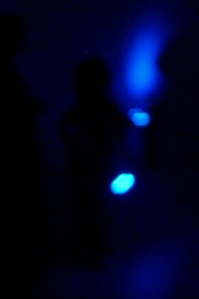 A largely dark space lit by a blue light.