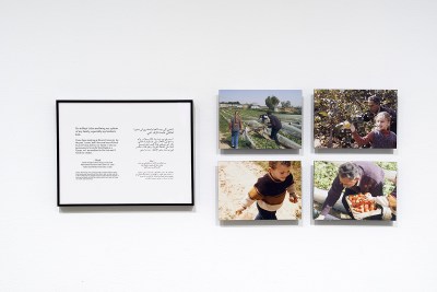 A text in English and Arabic beside four photographs showing people walking through fields.