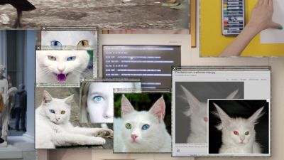 A group of overlaid computer windows with pictures of cats.