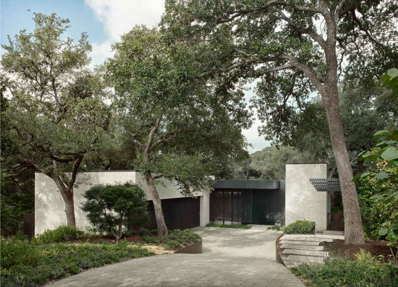 Modern house surrounded by trees, featuring white brick walls and large glass windows, with a paved driveway leading to the entrance.
