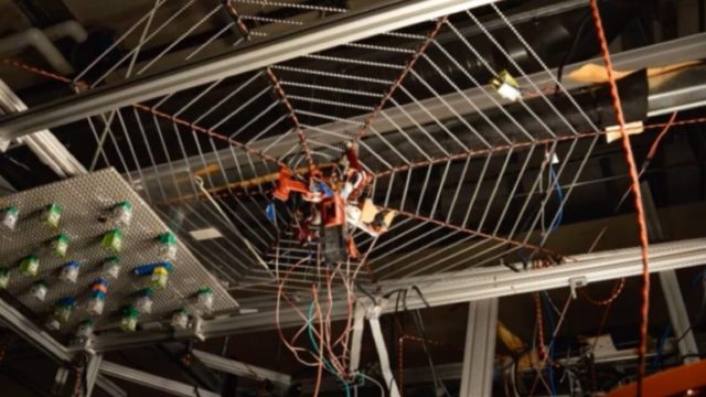 1742345104_SpiderBot-experiments-hint-at-echolocation-to-locate-prey.jpg image of a robot spider dangling upside down from a synthetic web