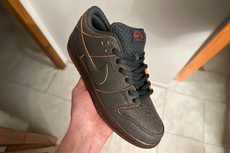 First Look at the Nike SB Dunk Low