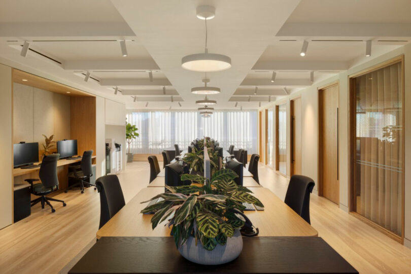Modern open office space with wooden desks, black chairs, and large potted plants. Computers are on some desks. Ceiling lights and large windows provide illumination.