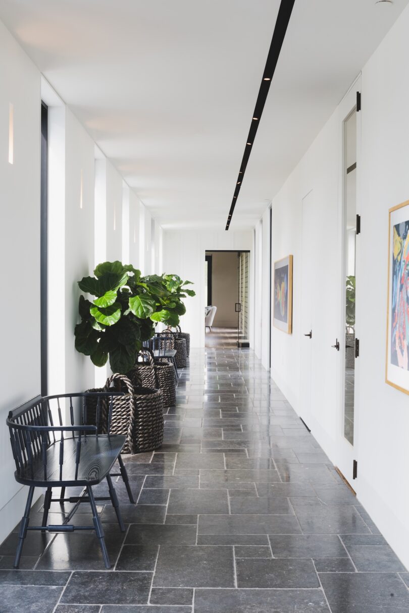 A modern hallway with black chairs, a large plant, framed artwork, and tile flooring. Large windows on the left provide natural light.