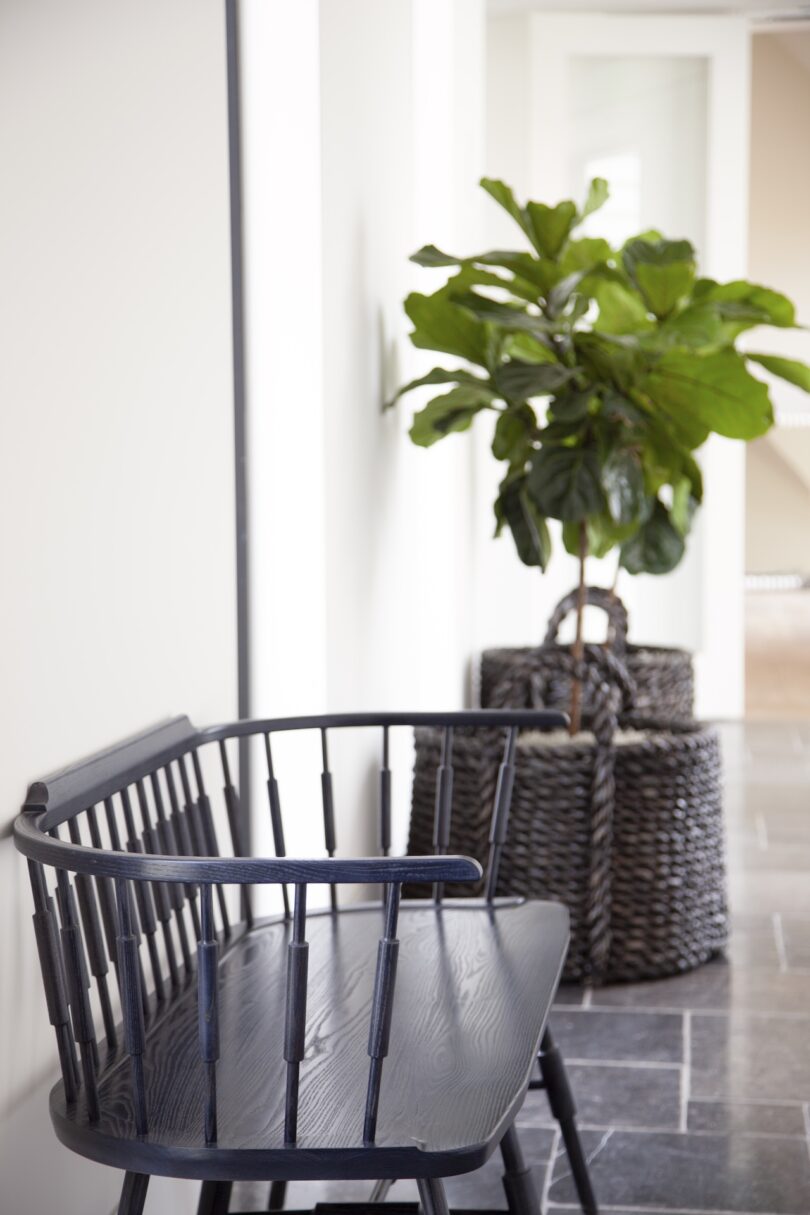A black wooden bench is placed against a white wall. A large green potted plant is beside it, set in a grey woven basket on a tiled floor.