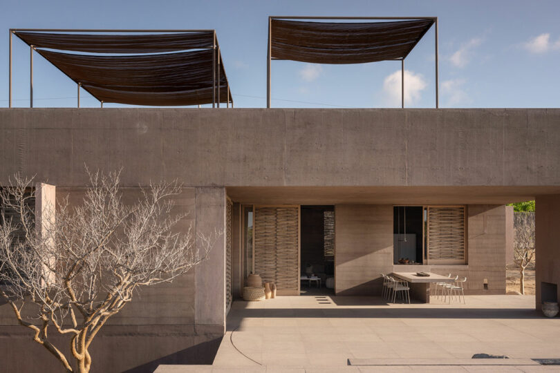 Modern concrete building with a flat roof and shade structures. The patio area features outdoor furniture. A leafless tree is in the foreground under a clear blue sky.