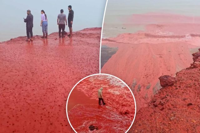 Freaky 'blood rain' phenomenon turns tides and beach red