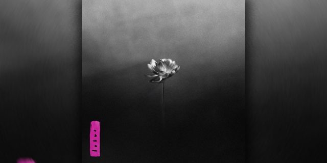 Little-Simz-Lotus-Album-Flood-Music-Video.jpg Little Simz ’Lotus’ Album “Flood” Music Video