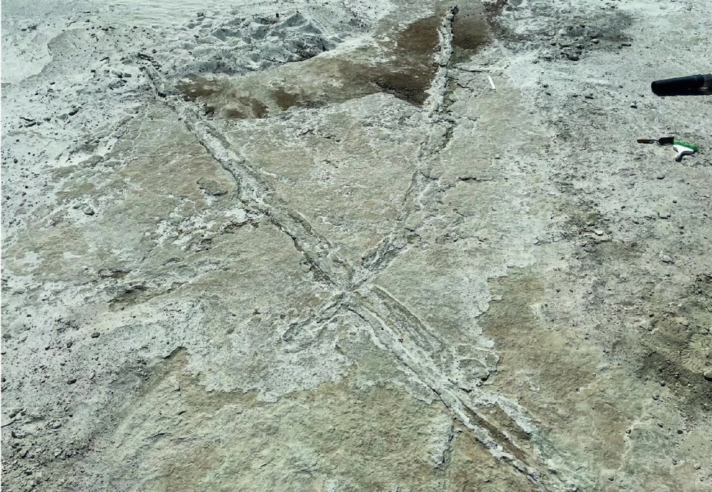 Prehistoric-Tracks-Suggest-New-Timeline-for-Humans-Migration.jpeg Prehistoric Tracks Suggest New Timeline for Humans Migration
