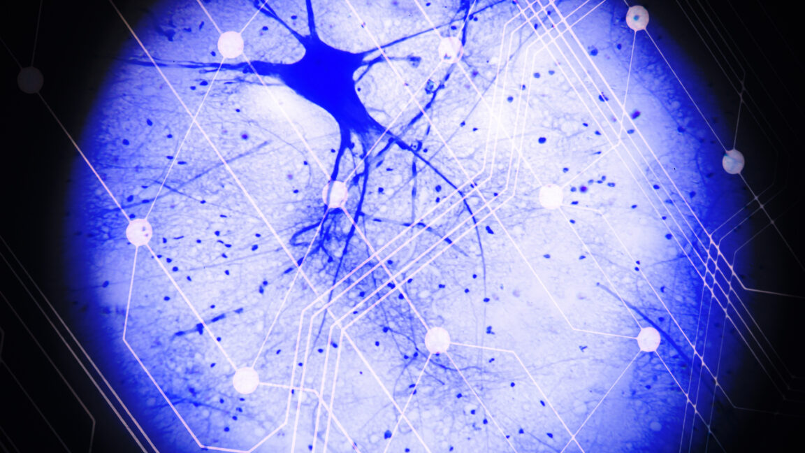 Researchers-get-spiking-neural-behavior-out-of-a-pair-of.jpg A cartoon circuit layout overlain on top of an image of a neuron, false colored in blue.
