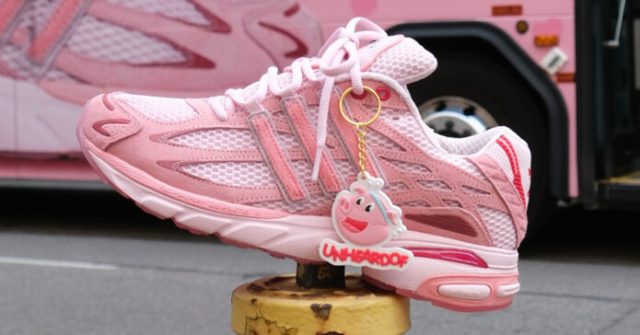UNheardof-x-adidas-Adistar-Cushion-3-Pork-Chop-Piggy-Runners.jpg UNheardof x adidas Adistar Cushion 3 "Pork Chop Piggy Runners"