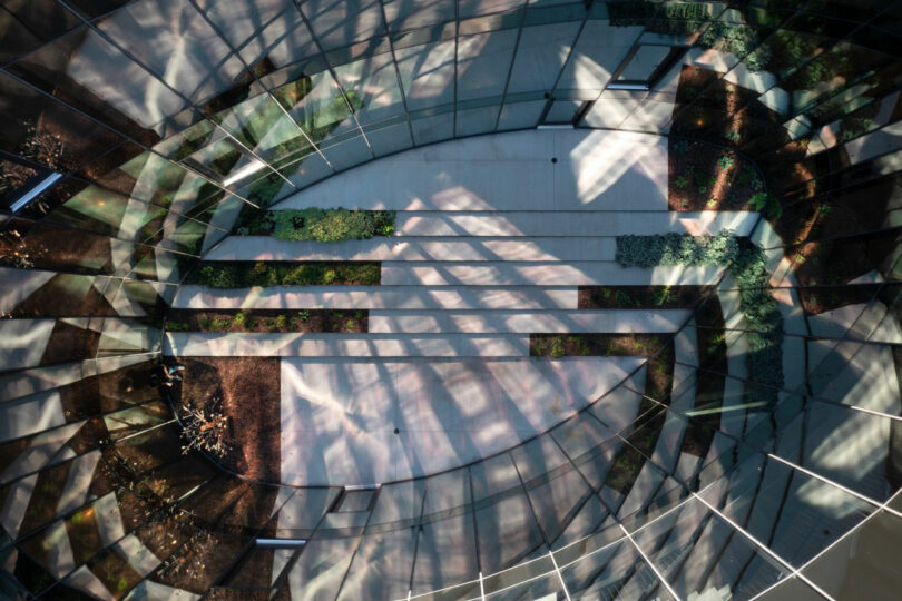 Aerial view of a curved glass building by CLB Architects, featuring a central walkway and garden beds, casting intricate shadows on the ground.