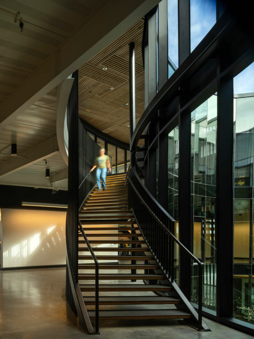 A person ascends a spiraling wooden staircase with black metal railings, surrounded by large windows and the modern interior architecture designed by CLB Architects.