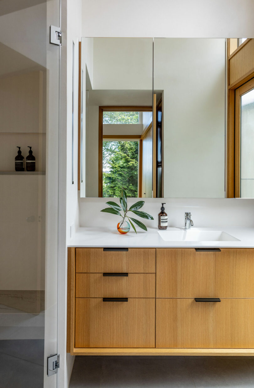 Modern bathroom with wooden vanity, large mirror, and a window reflecting greenery. A small plant and soap dispenser sit on the countertop. Glass shower door visible on the left.