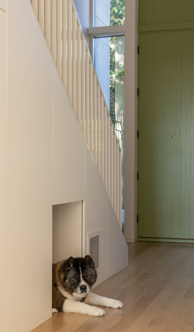 Dog resting in a cozy nook under wooden stairs next to a green door in a modern home interior.