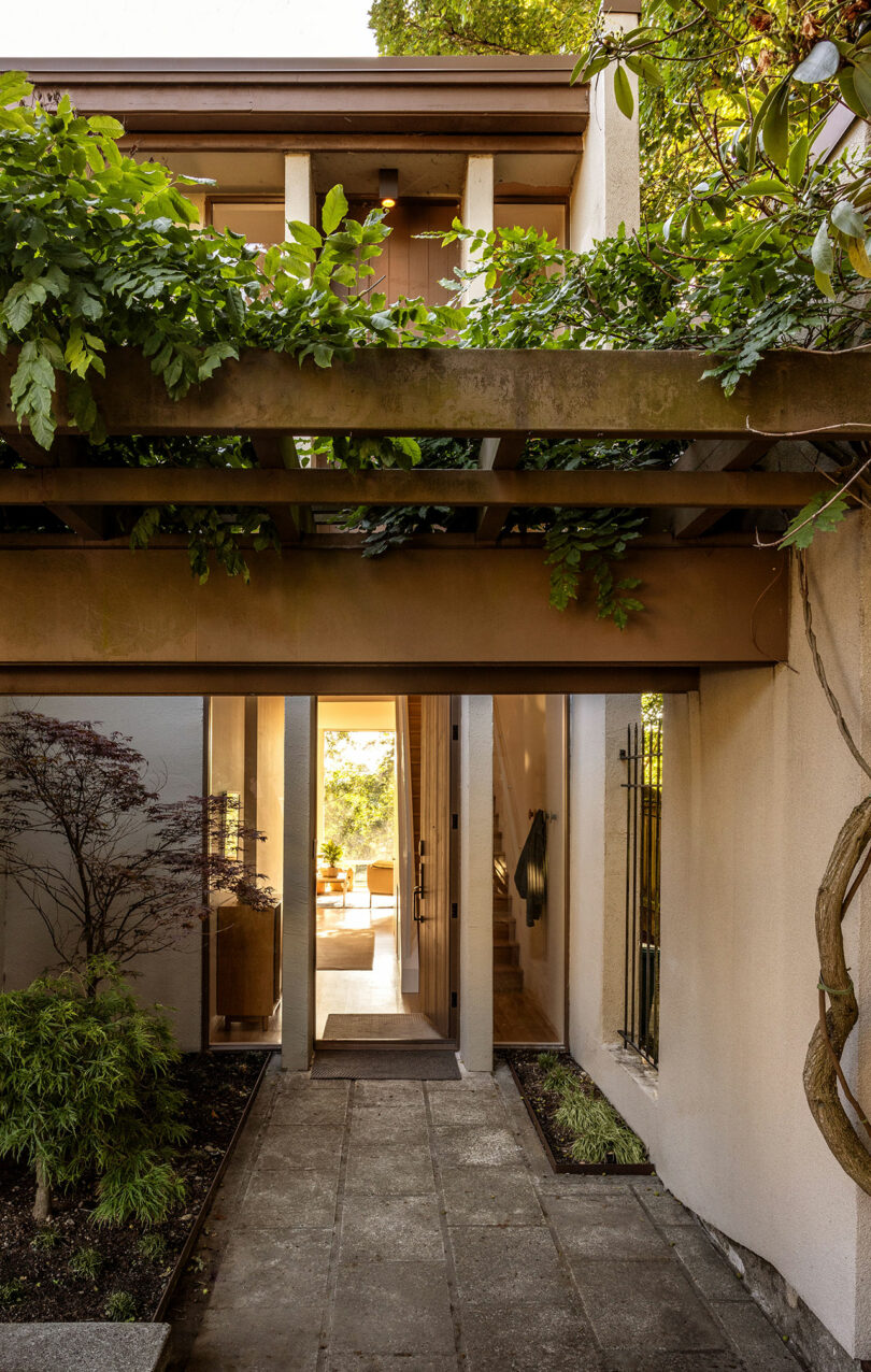 Entrance to a modern home with a pergola covered in greenery. A glass door opens to an interior with visible stairs and a well-lit room beyond.