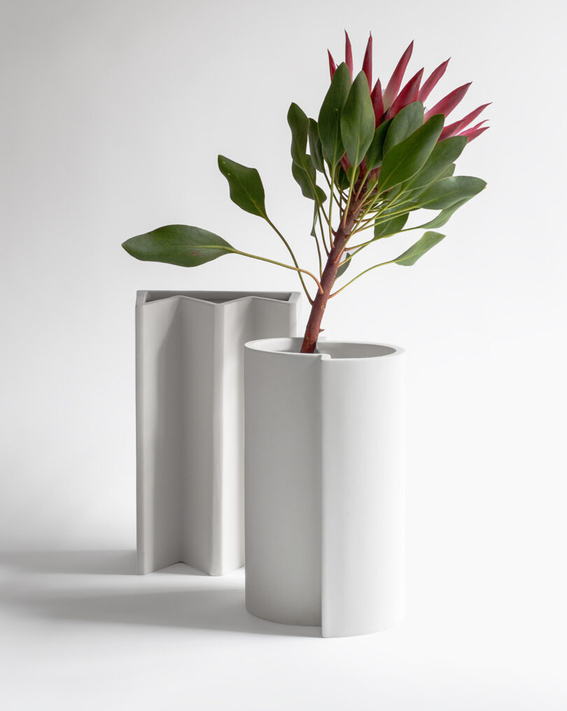 A white cylindrical vase with a plant featuring green leaves and red tips, next to an empty, uniquely shaped white vase on a white background.