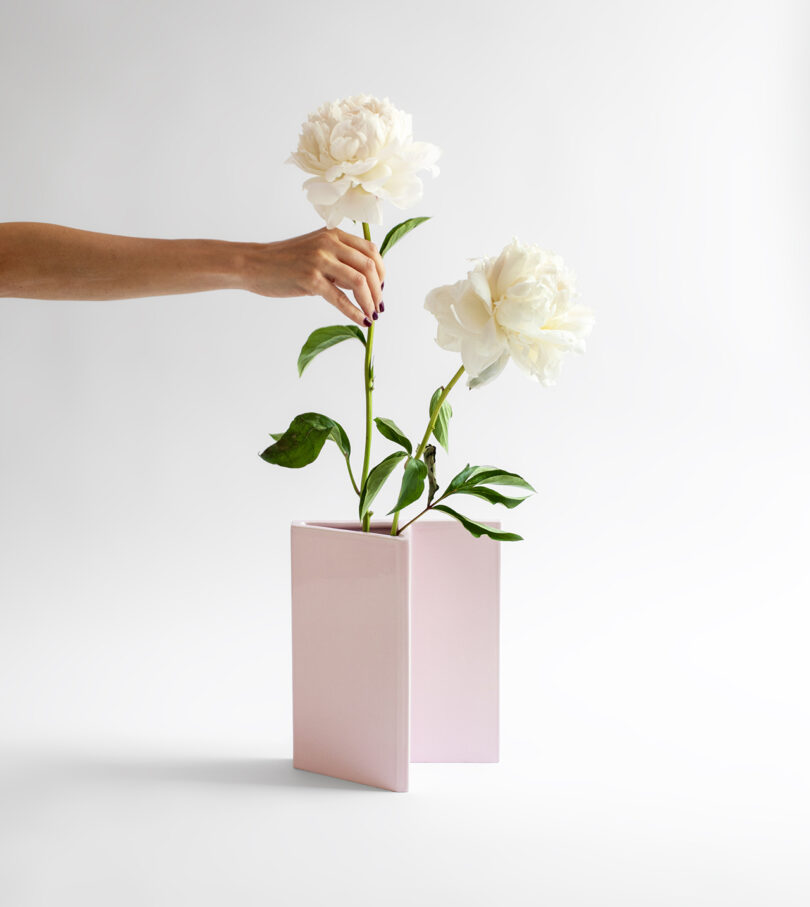 A hand arranges two white flowers with green leaves in a modern, rectangular pink vase against a plain background.