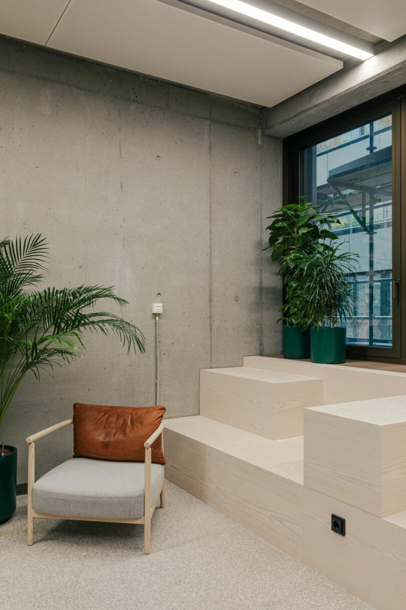 Minimalist room with a wooden armchair featuring a brown cushion, two potted plants, tiered white steps, a concrete wall, and a large window.