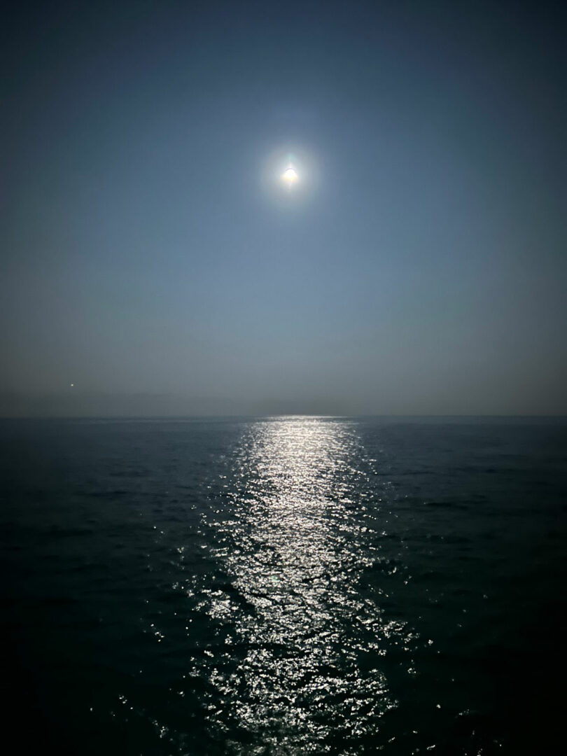 Moonlit ocean with shimmering reflection on the water's surface under a clear night sky.
