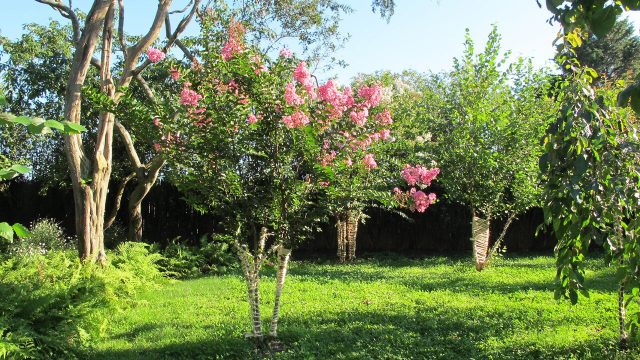 Join Asad Raza’s High Line Plant Walk at Frieze New York