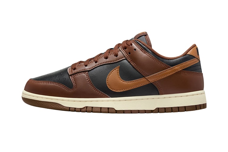 Nike Drops The Dunk Low in