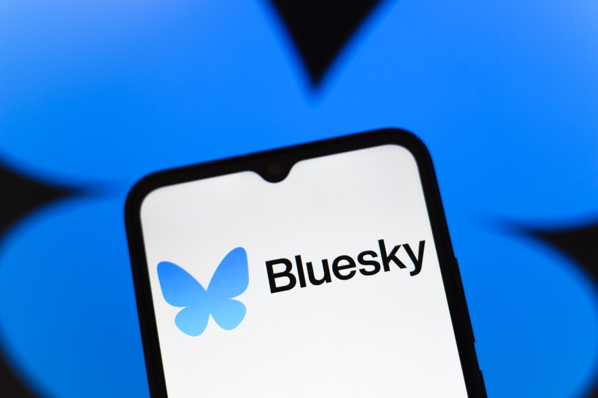 1745095865_Bluesky-may-soon-add-blue-check-verification.jpg Bluesky logo
