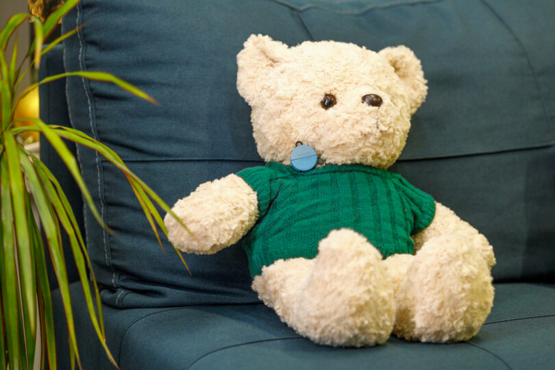 A stuffed teddy bear wearing a green sweater sits on a blue couch next to a plant.