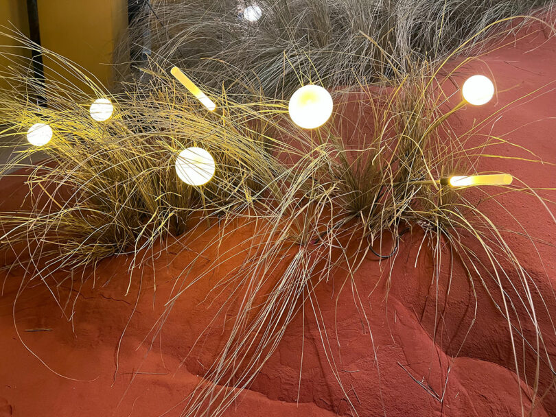 Round light fixtures and linear bulbs are set among tall grasses on a reddish, sandy surface, creating an abstract, illuminated landscape scene.
