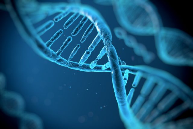Alphabets-AI-drug-discovery-platform-Isomorphic-Labs-raises-600M-from.jpg Alphabet's AI drug discovery platform Isomorphic Labs raises $600M from Thrive