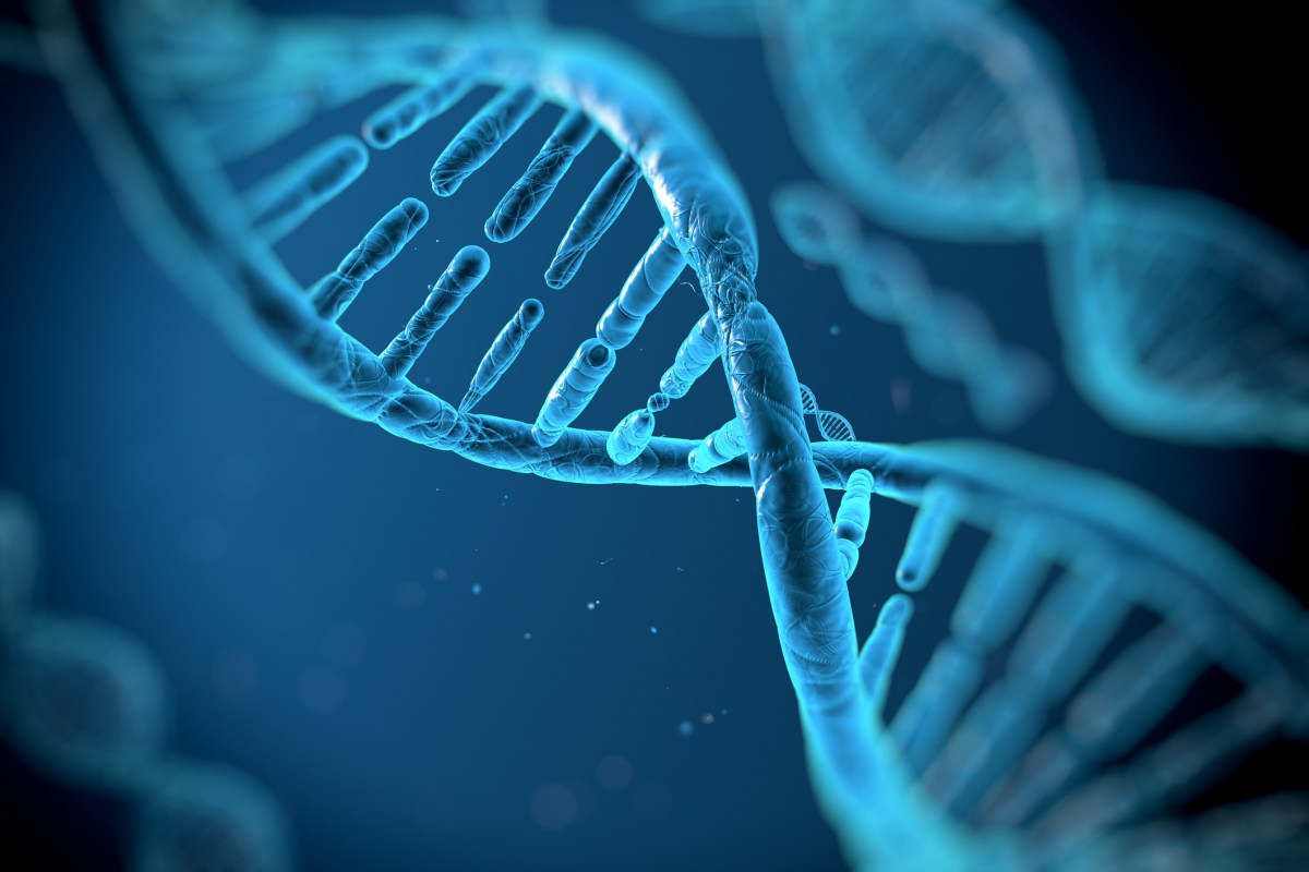Alphabets-AI-drug-discovery-platform-Isomorphic-Labs-raises-600M-from.jpg Alphabet's AI drug discovery platform Isomorphic Labs raises $600M from Thrive