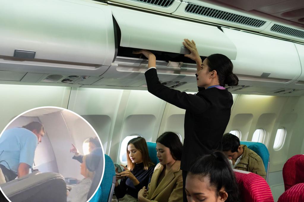 Flight attendant refuses to help disabled passenger, tries to get Flight attendant refuses to help disabled passenger, tries to get her booted from flight